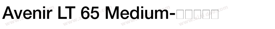 Avenir LT 65 Medium字体转换